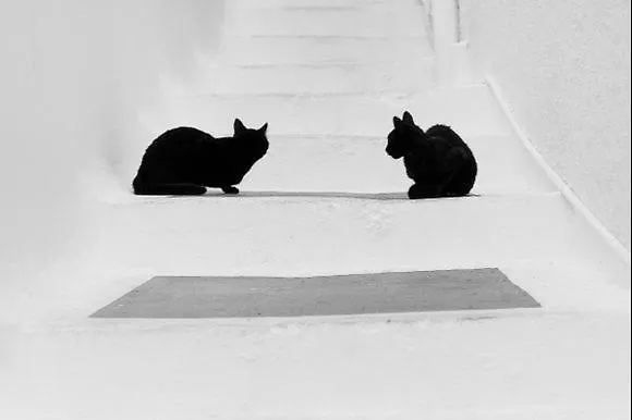 Hytra View House Lägenhet